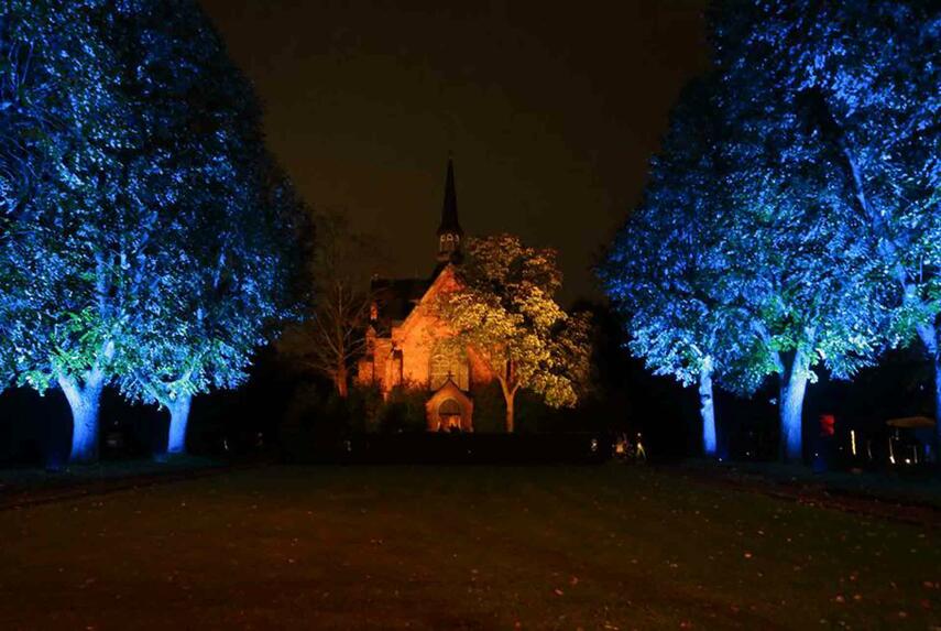 Allerheiligen: Stadt Düsseldorf illuminiert den Nordfriedhof